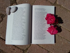 Rumiz foto aperto bella