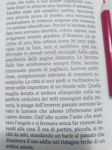 Lemebel torero citazione finale