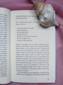 Lemebel torero citazione