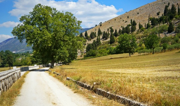 Barile Padula Cilento