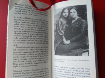 Brokken baltiche Arendt