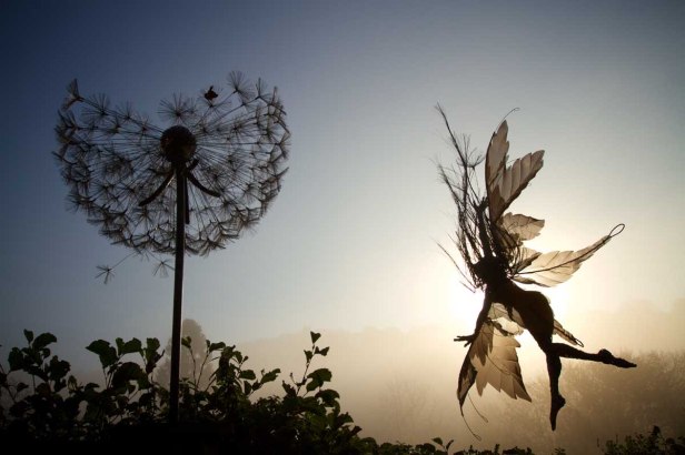 Wight Aurelia-and-dandelion