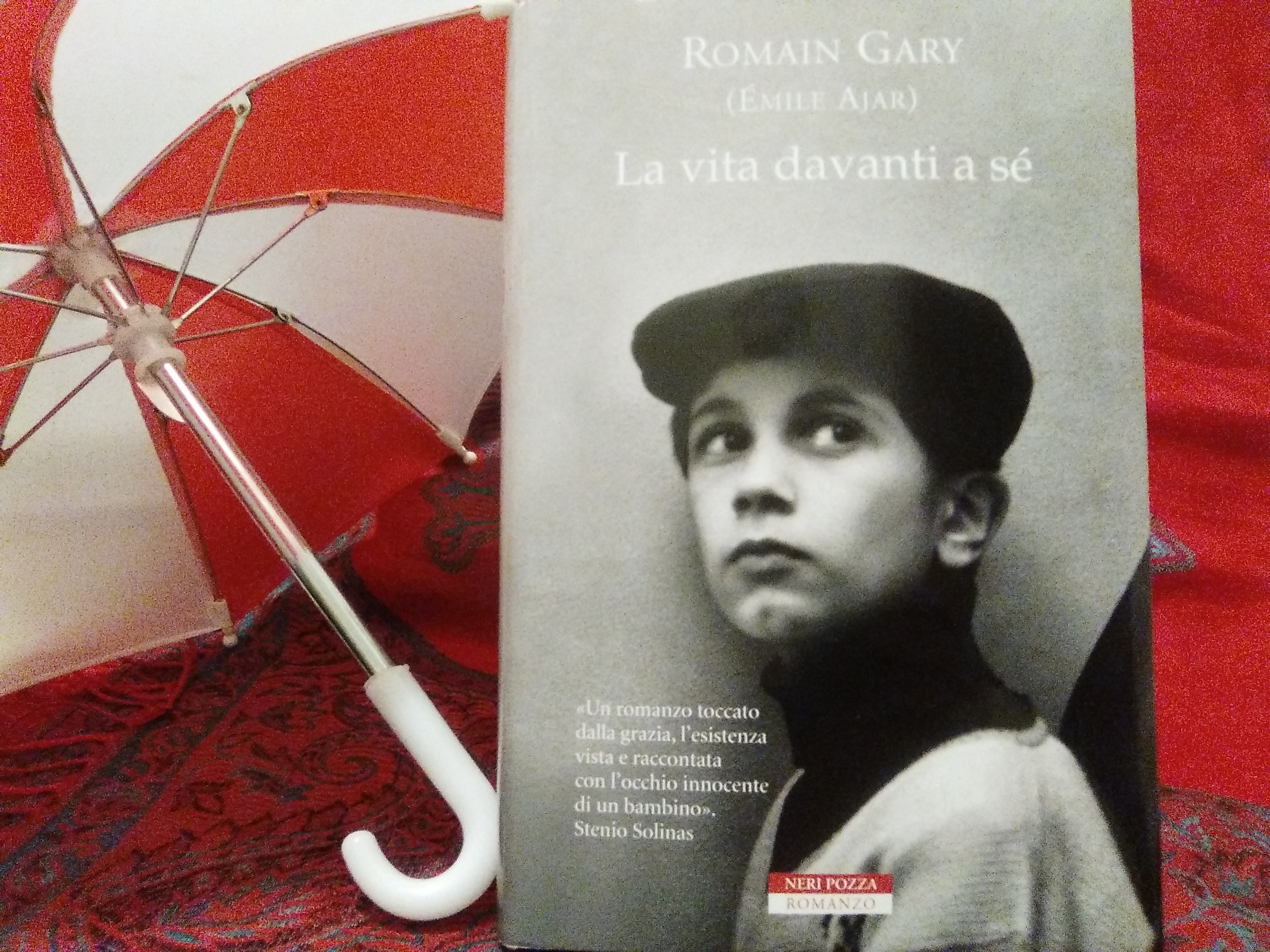 La Vita Davanti A Se Libro La vita davanti a sé, Romain Gary. “Non c’è bisogno di motivi per aver