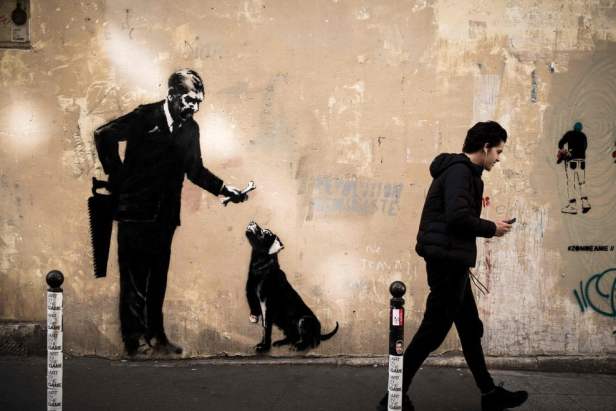 Banksy cane osso