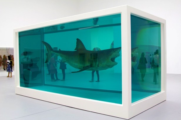 damien hirst lo squalo