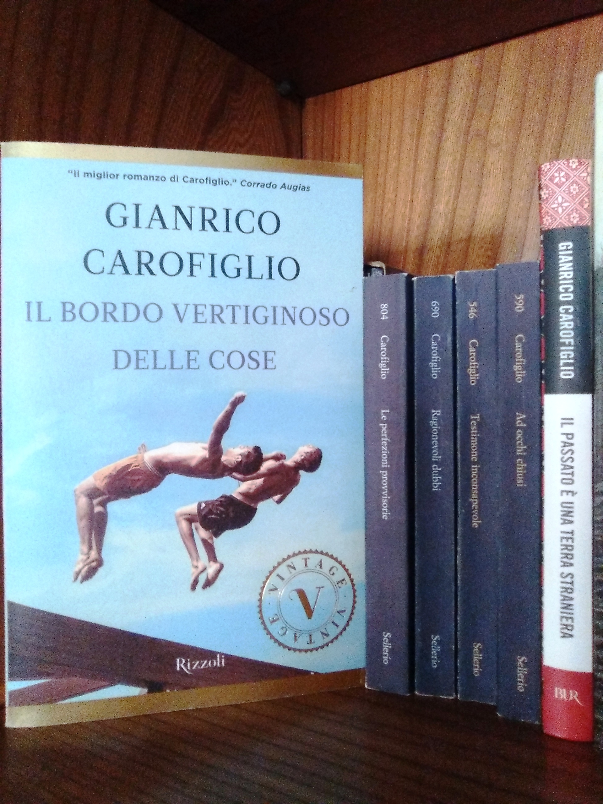 Il Bordo Vertiginoso Delle Cose - Romanzo Avvincente E Coinvolgente