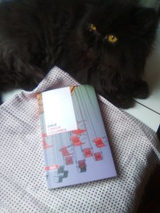 Dikic cirkus columbia con gatto