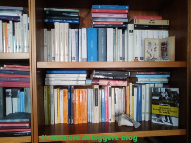 la mia libreria con nome blog