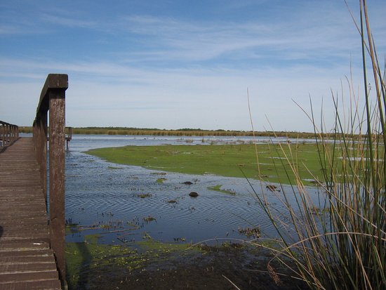 Argentina Campana reserva-natural-otamendi
