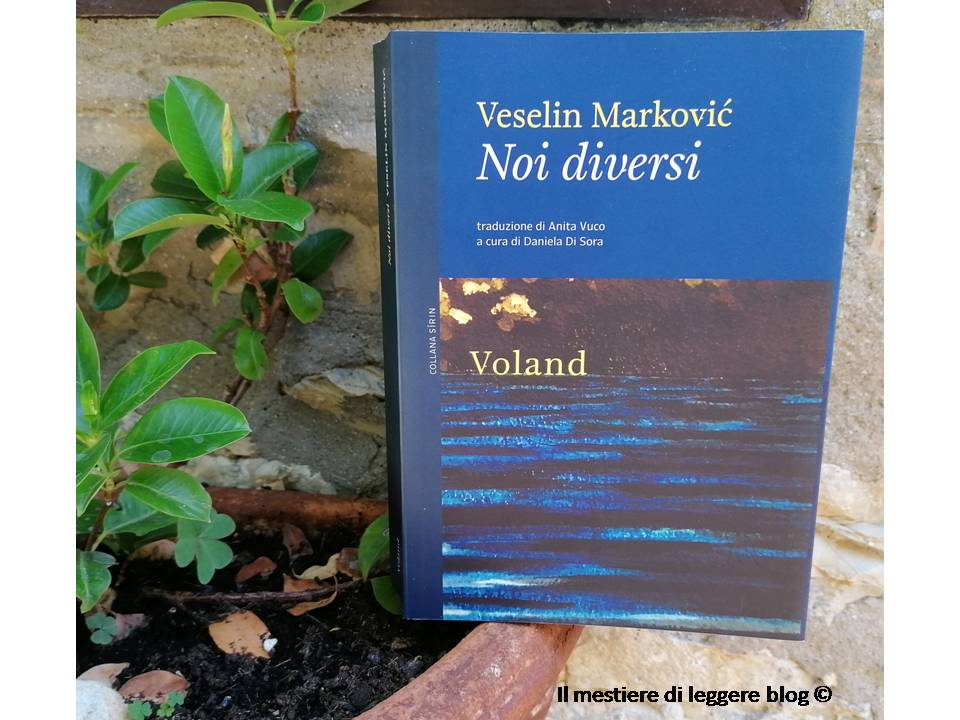 Markovic noi diversi con logo