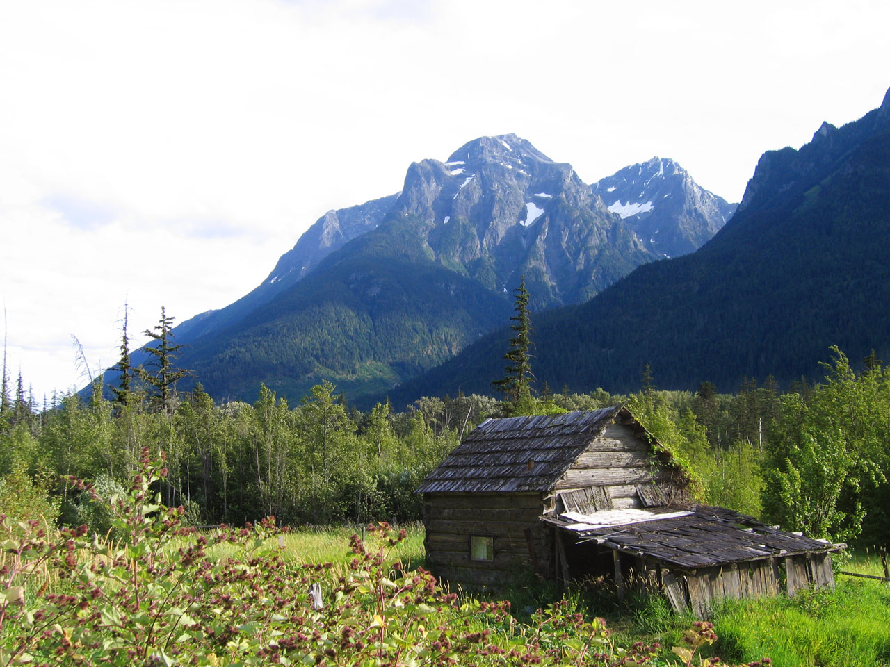 Bella Coola bc