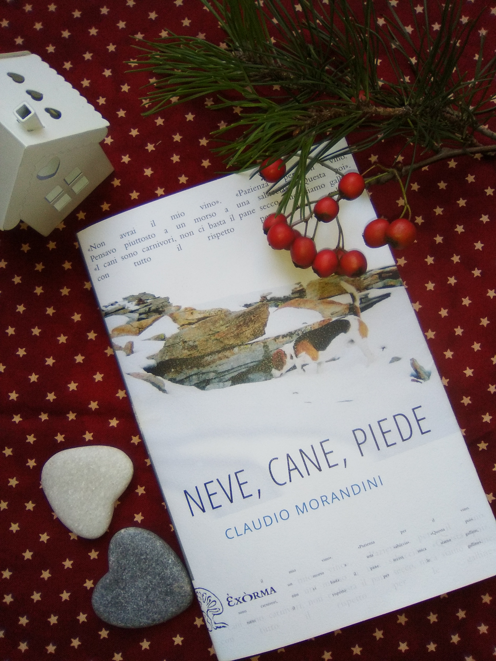 Morandini neve cane piede copertina