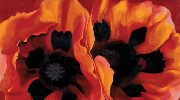 O Keeffe 1