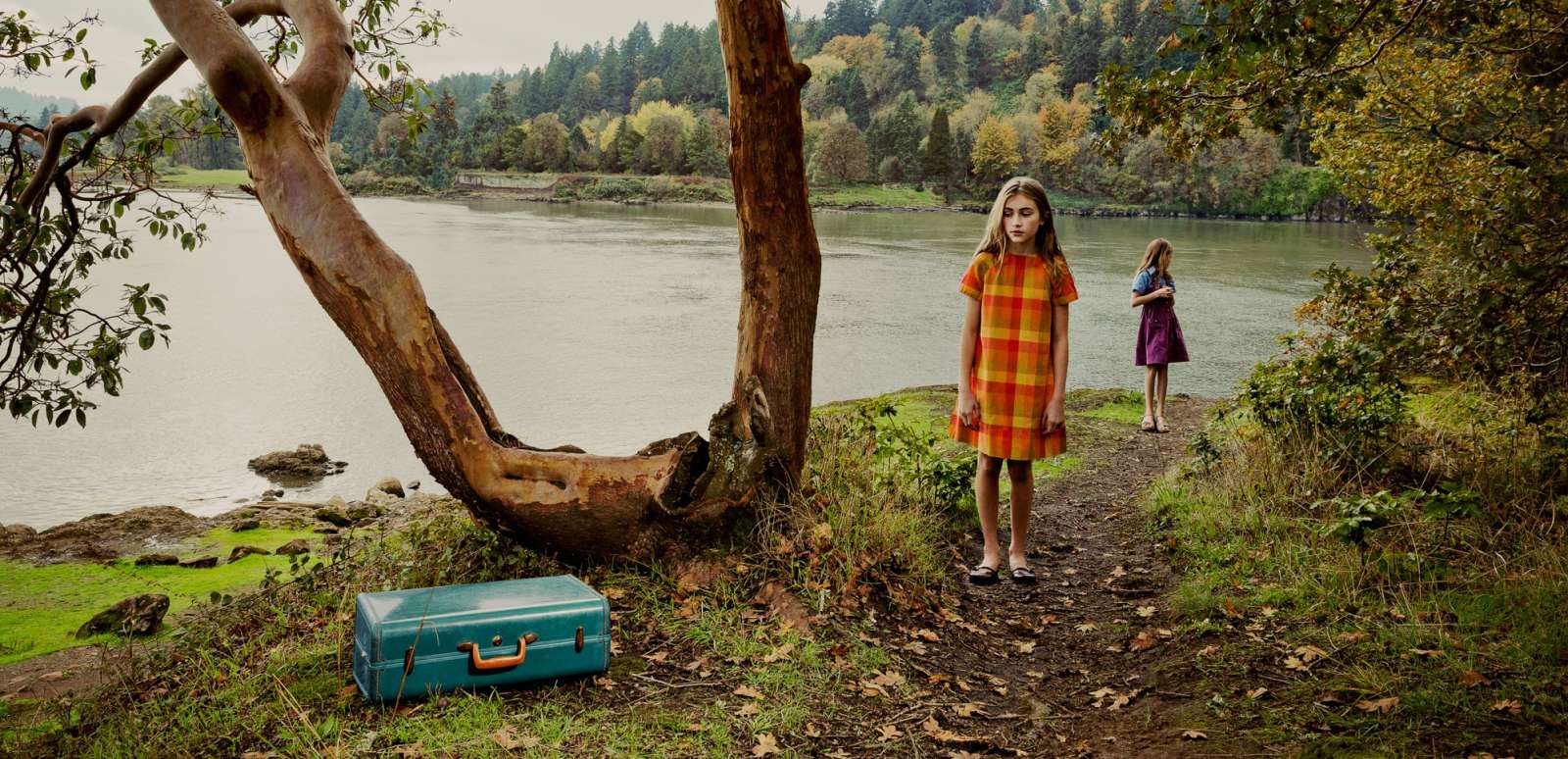 Andres fallen-fawn elk-rock-island