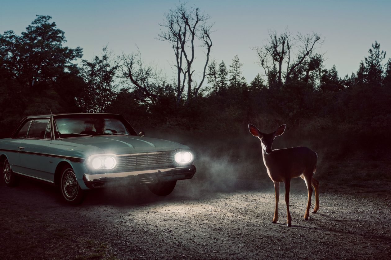 Andres_Fallen Fawn River Road_Milepost 13