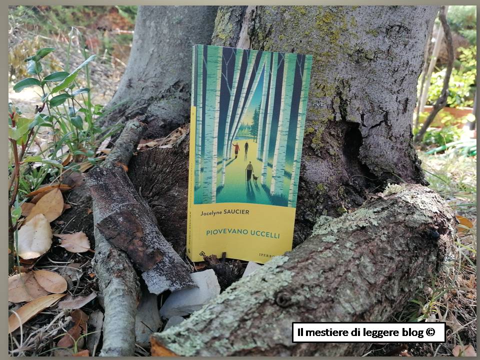 saucier-piovevano-uccelli-logo-1