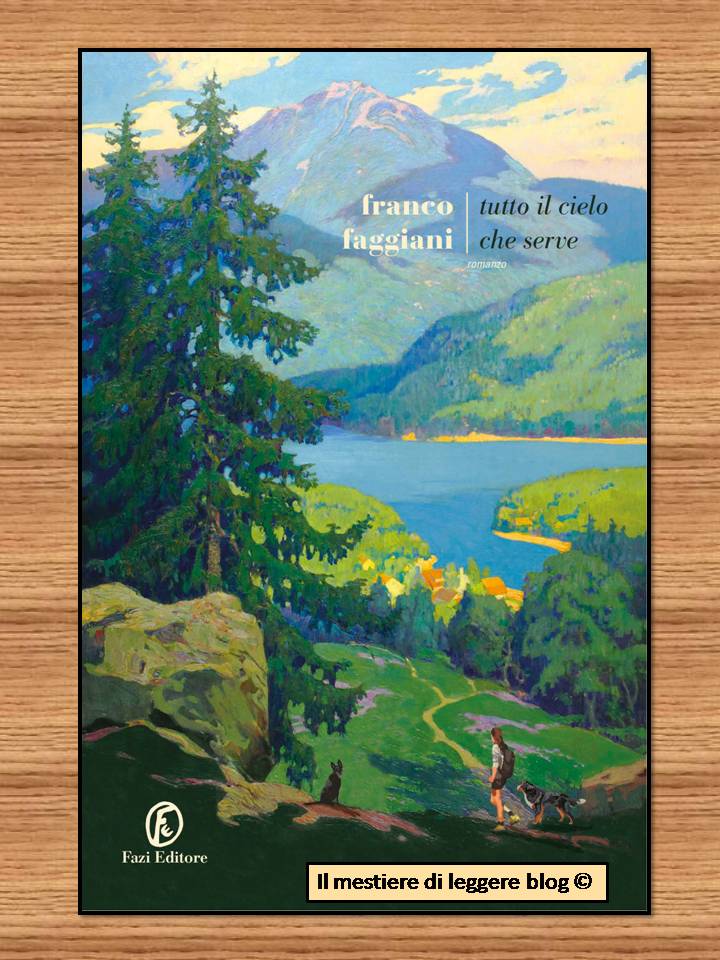 Faggiani Tutto il cielo che serve logo