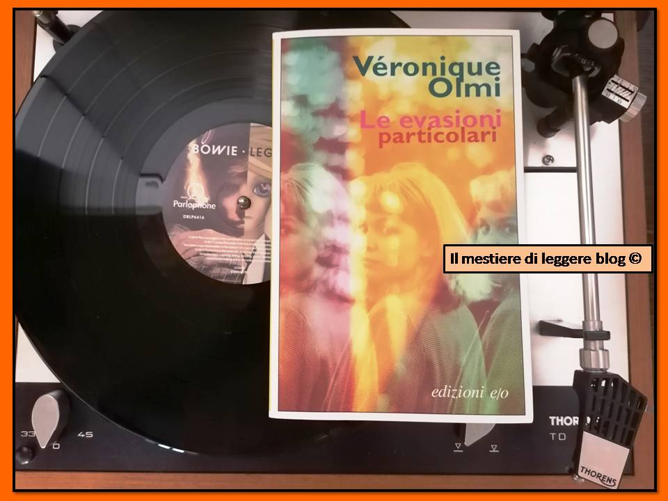 Olmi evasioni particolari logo