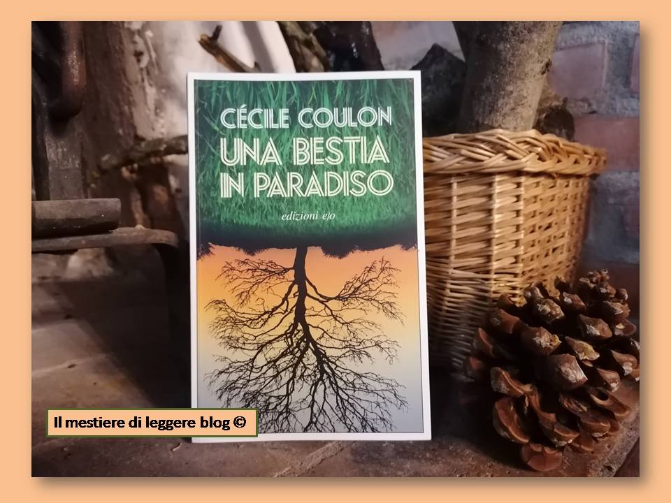 Coulon paradiso logo