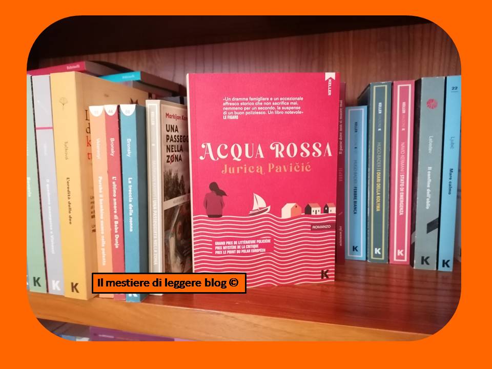 Pavicic acqua rossa logo